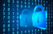 The goals and principles of information security